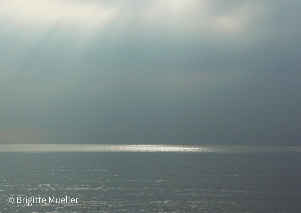 Wasser und Licht 1,2009